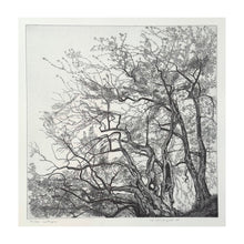 Carica l'immagine nel visualizzatore di Gallery, GALLI FEDERICA, Castagno, 1988