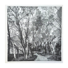 Load image into Gallery viewer, GALLI FEDERICA, Due strade, 1982