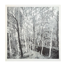 Load image into Gallery viewer, GALLI FEDERICA, Lanca della trota, 1980