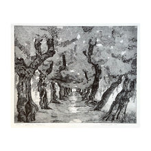 Load image into Gallery viewer, GALLI FEDERICA, I platani di Napoleone a Cherasco, 1995