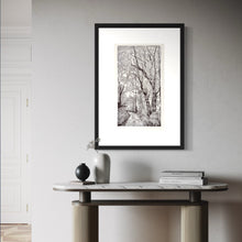 Load image into Gallery viewer, GALLI FEDERICA, Gli olmi, 1981