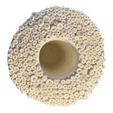 Carica l'immagine nel visualizzatore di Gallery, PIATTINO CRISTINA, Aureola, 2025