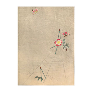 KŌRIN FURUYA, Kōrin-style Patterns, (Kōrin moyō) n. 54, 1907