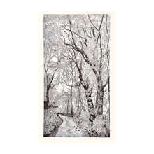 Load image into Gallery viewer, GALLI FEDERICA, Gli olmi, 1981
