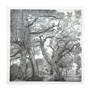 GALLI FEDERICA, Parco di Racconigi, 1994