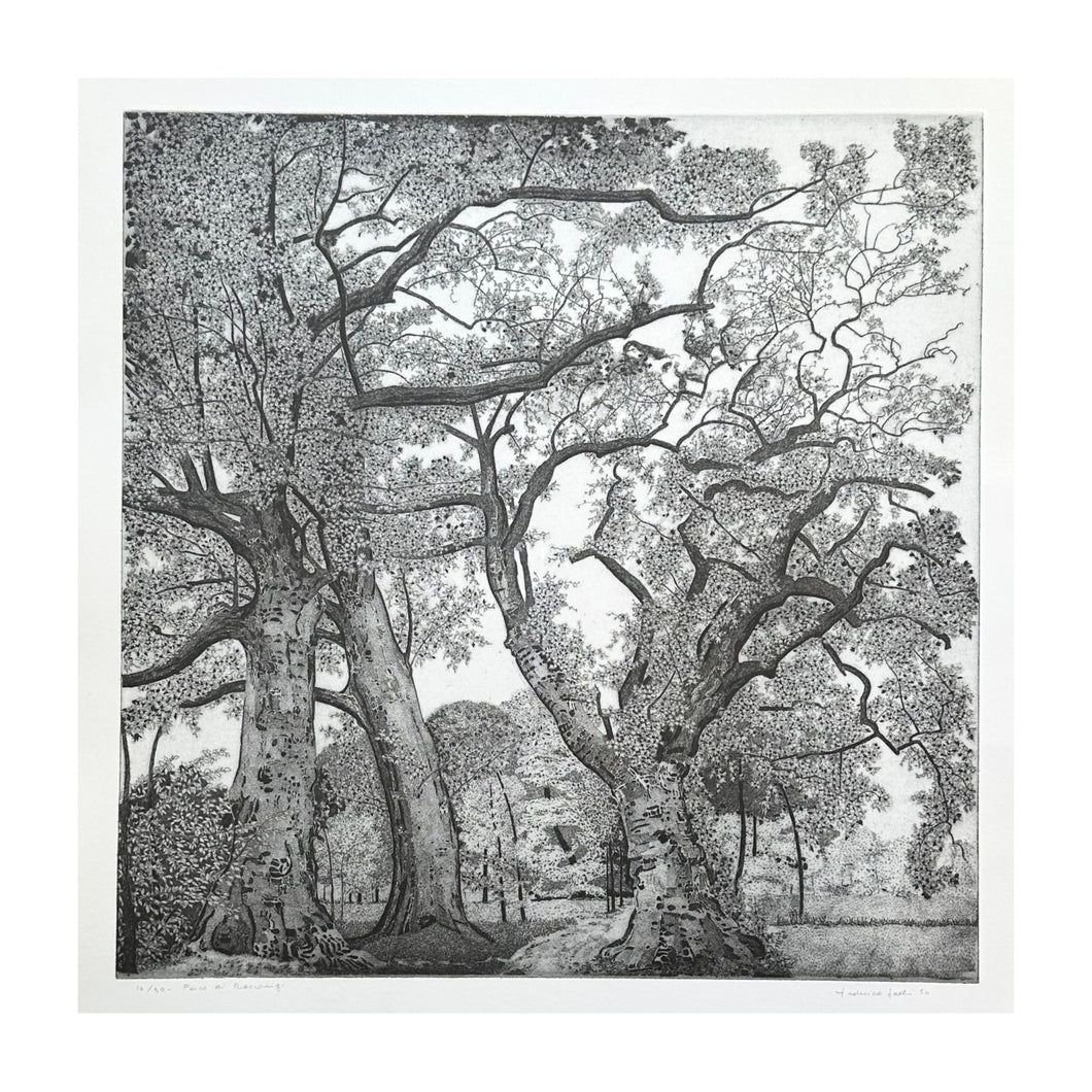 GALLI FEDERICA, Parco di Racconigi, 1994