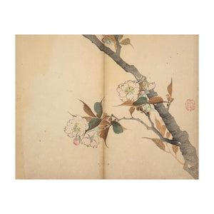 MOCHIZUKI GYOKUSEN, Shuga-cho n. 11, 1891-1900