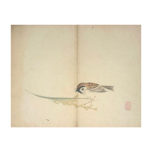 MOCHIZUKI GYOKUSEN, Shuga-cho n. 27, 1891-1900