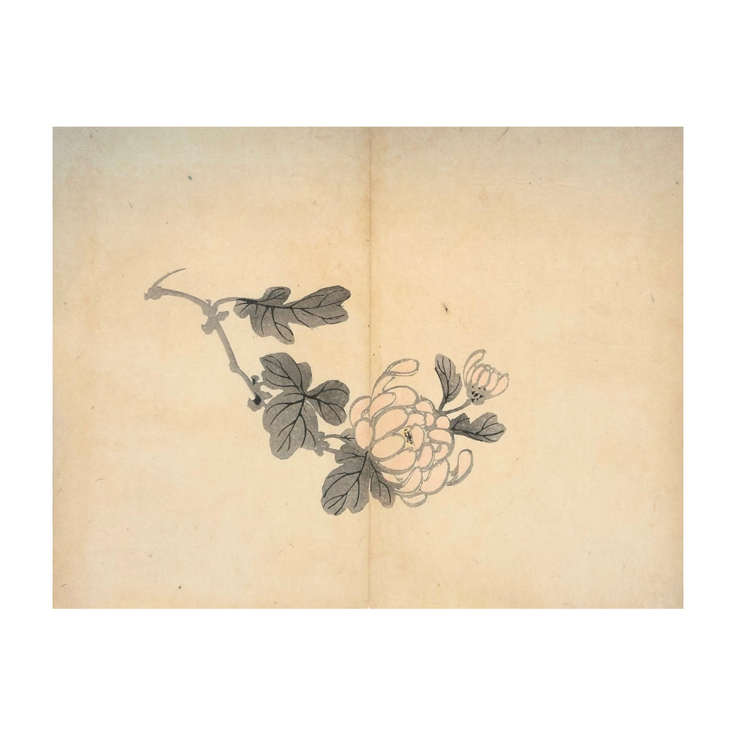 MOCHIZUKI GYOKUSEN, Shuga-cho n. 37, 1891-1900