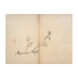 MOCHIZUKI GYOKUSEN, Shuga-cho n. 39, 1891-1900