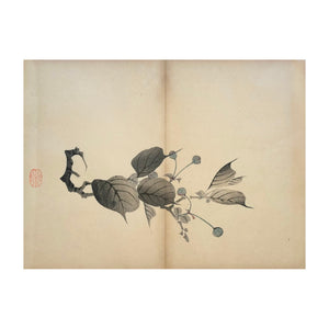 MOCHIZUKI GYOKUSEN, Shuga-cho n. 42, 1891-1900