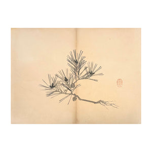 MOCHIZUKI GYOKUSEN, Shuga-cho n. 47, 1891-1900