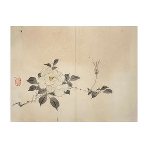 MOCHIZUKI GYOKUSEN, Shuga-cho n. 4, 1891-1900