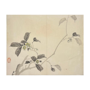 MOCHIZUKI GYOKUSEN, Shuga-cho n. 5, 1891-1900