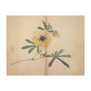 MOCHIZUKI GYOKUSEN, Shuga-cho n. 8, 1891-1900