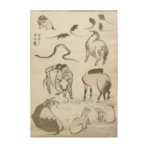 HOKUSAI KATSUSHIKA, Manga n. 12, 1834