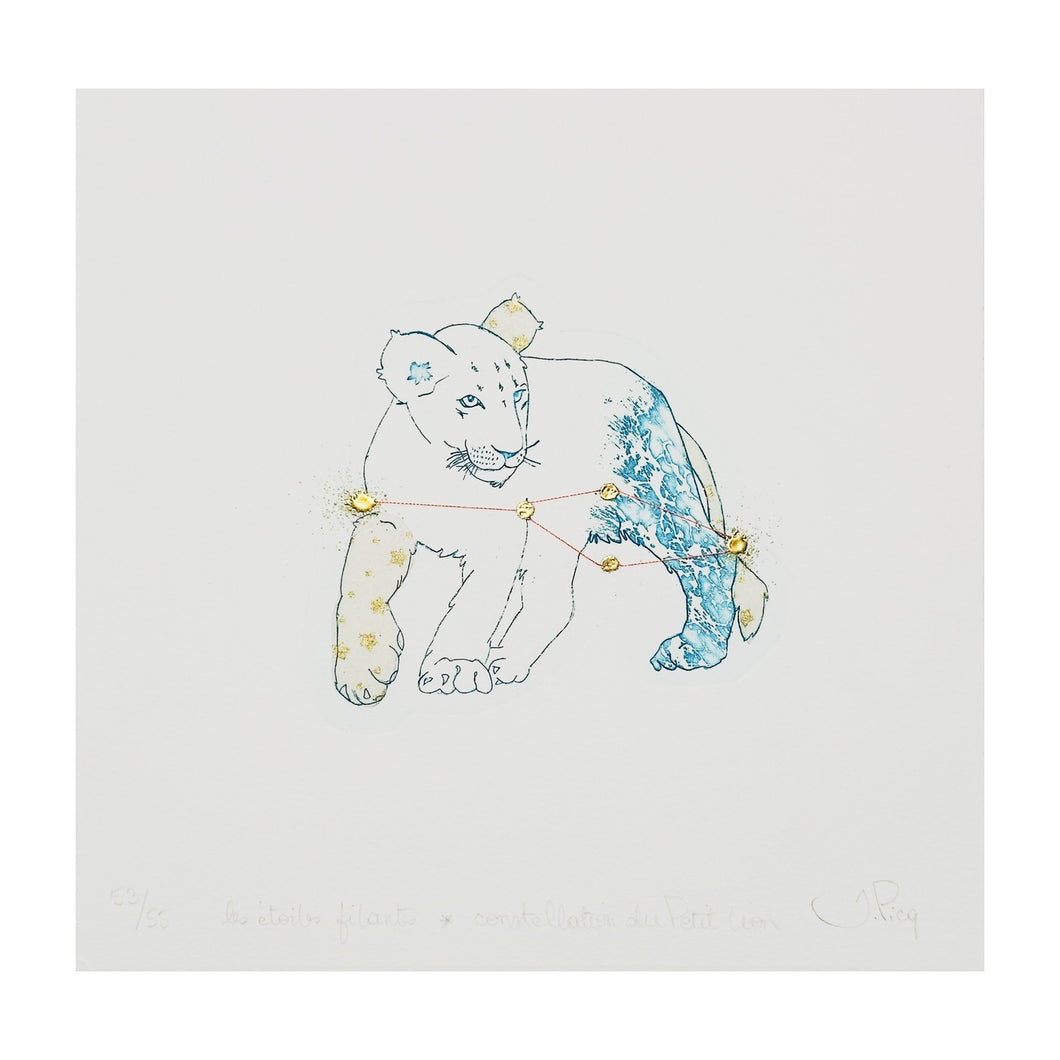 PICQ JEANNE, Les étoiles filants - Constellation du Petit Leon, 2023