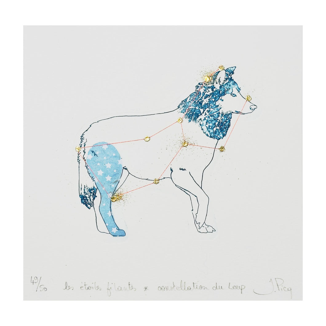 PICQ JEANNE, Les étoiles filants - Constellation du Loup n. 1, 2023