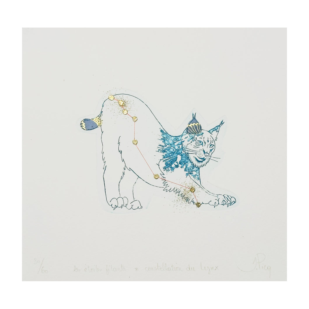 PICQ JEANNE, Les étoiles filants - Constellation du Lynx, 2023