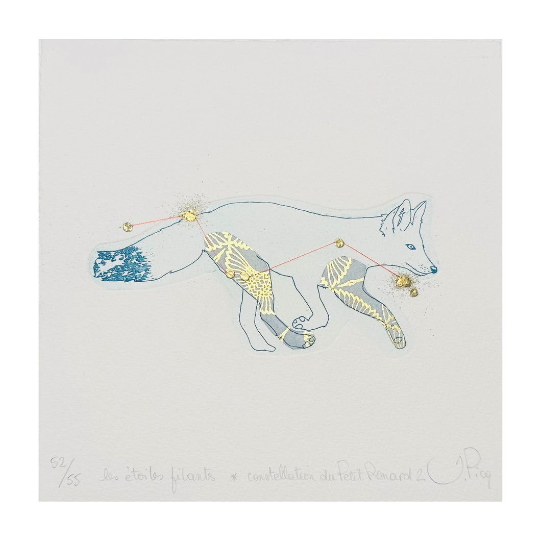 PICQ JEANNE, Les étoiles filants - Constellation du Petit Renard n. 2, 2023