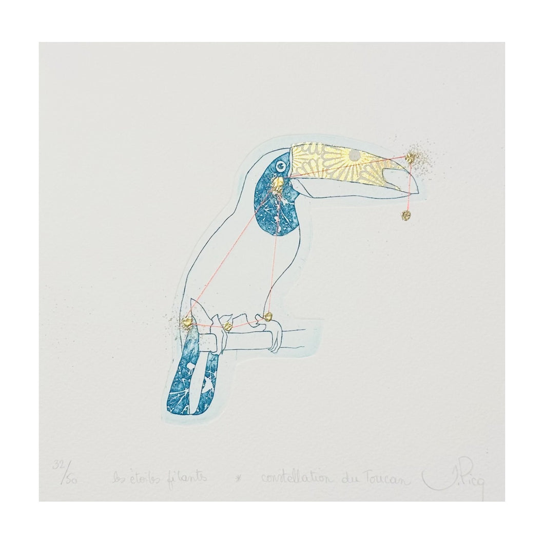 PICQ JEANNE, Les étoiles filants - Constellation du Toucan, 2023