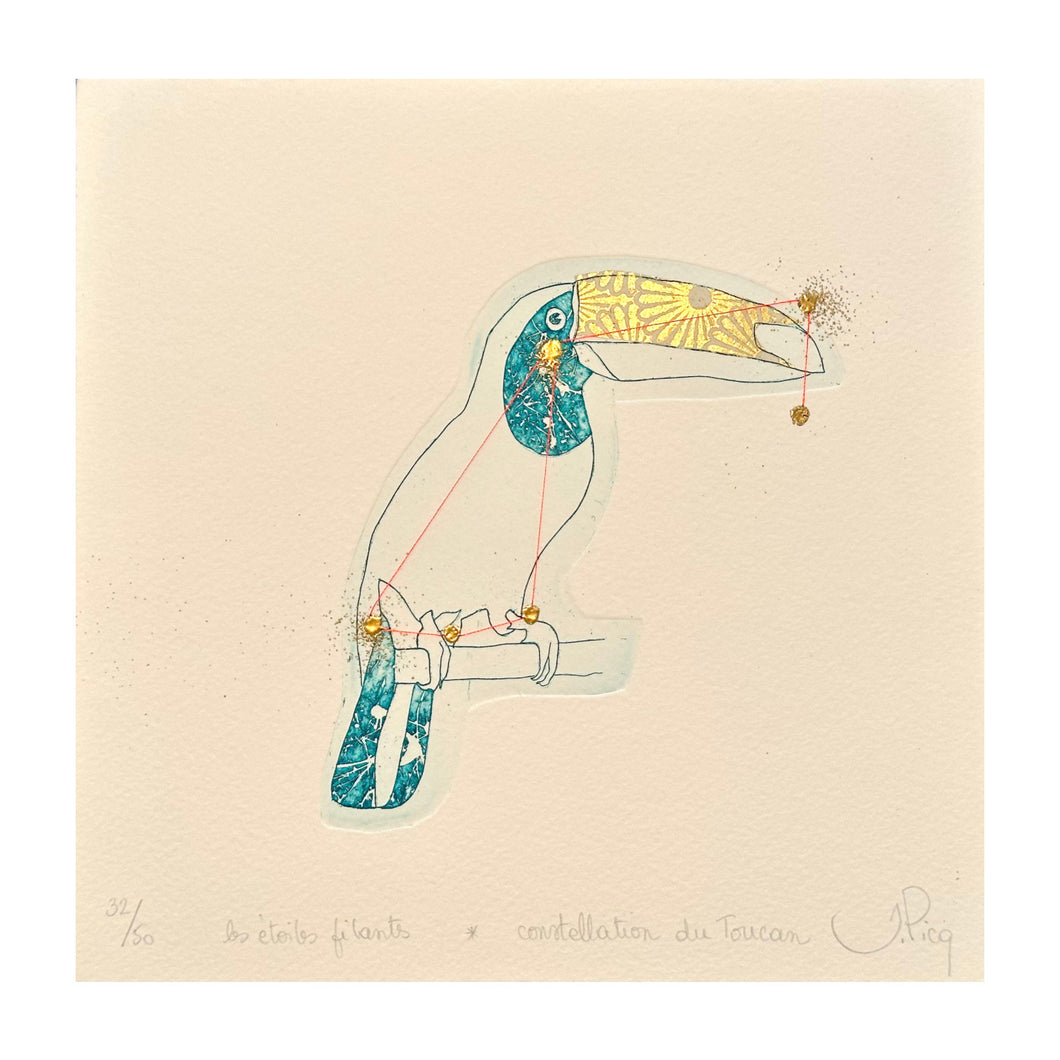 PICQ JEANNE, Les étoiles filants - Constellation du Toucan, 2023