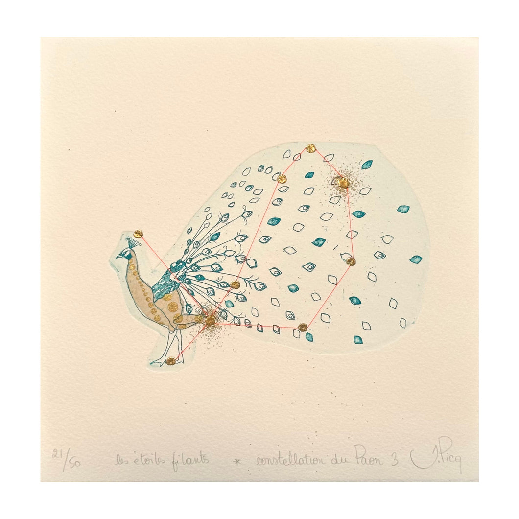 PICQ JEANNE, Les étoiles filants - Constellation du Paon n. 3, 2023