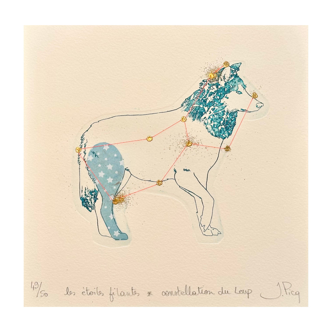 PICQ JEANNE, Les étoiles filants - Constellation du Loup n. 1, 2023