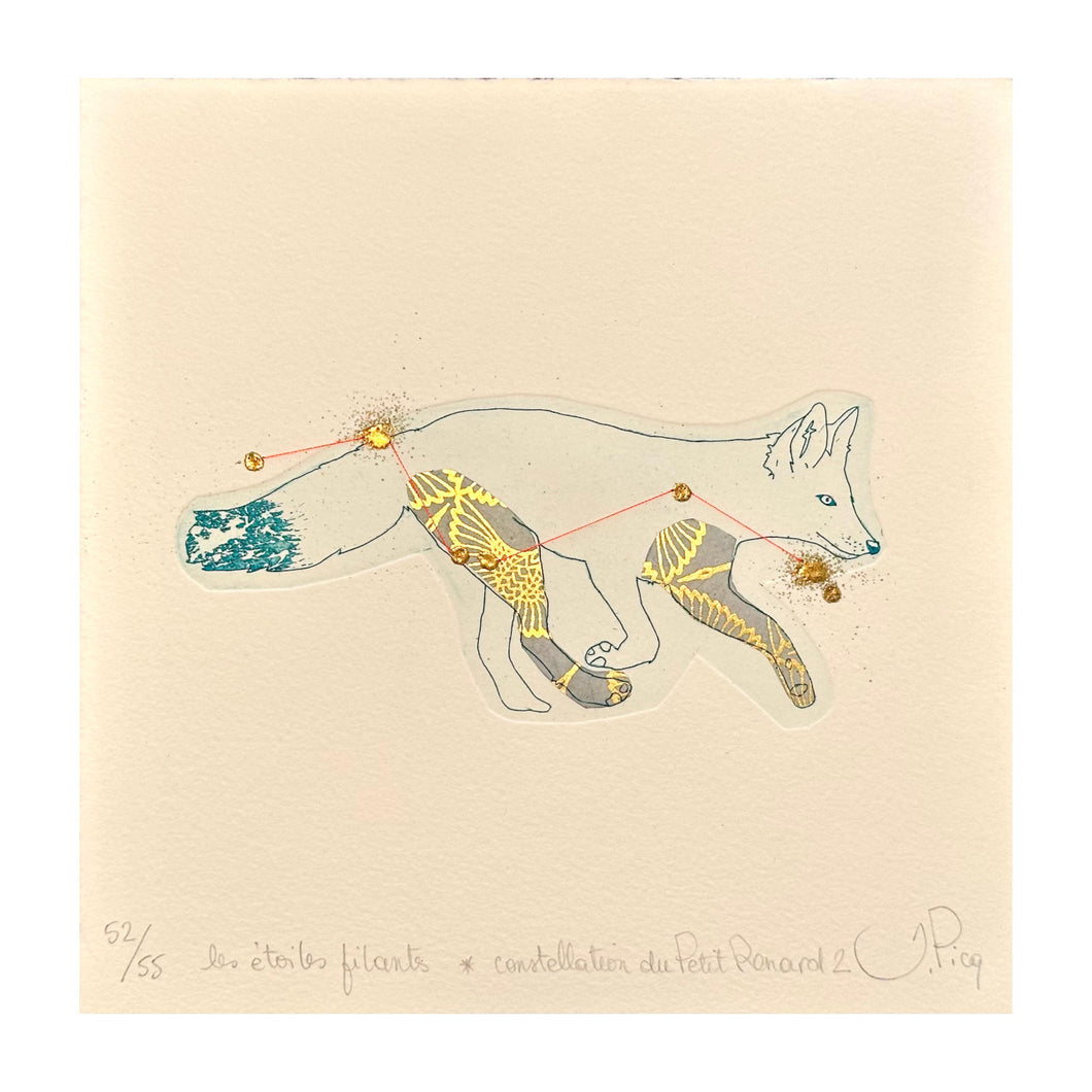 PICQ JEANNE, Les étoiles filants - Constellation du Petit Renard n. 2, 2023