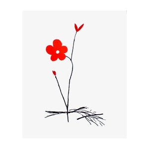 KURODA AKI, Fleur rouge, 2005