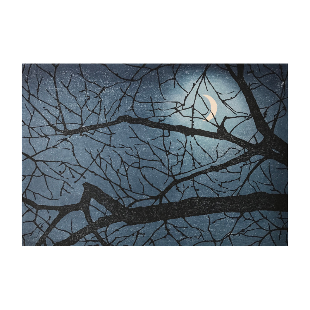 COZZOLINO MARA, Himeji moon, 2017 