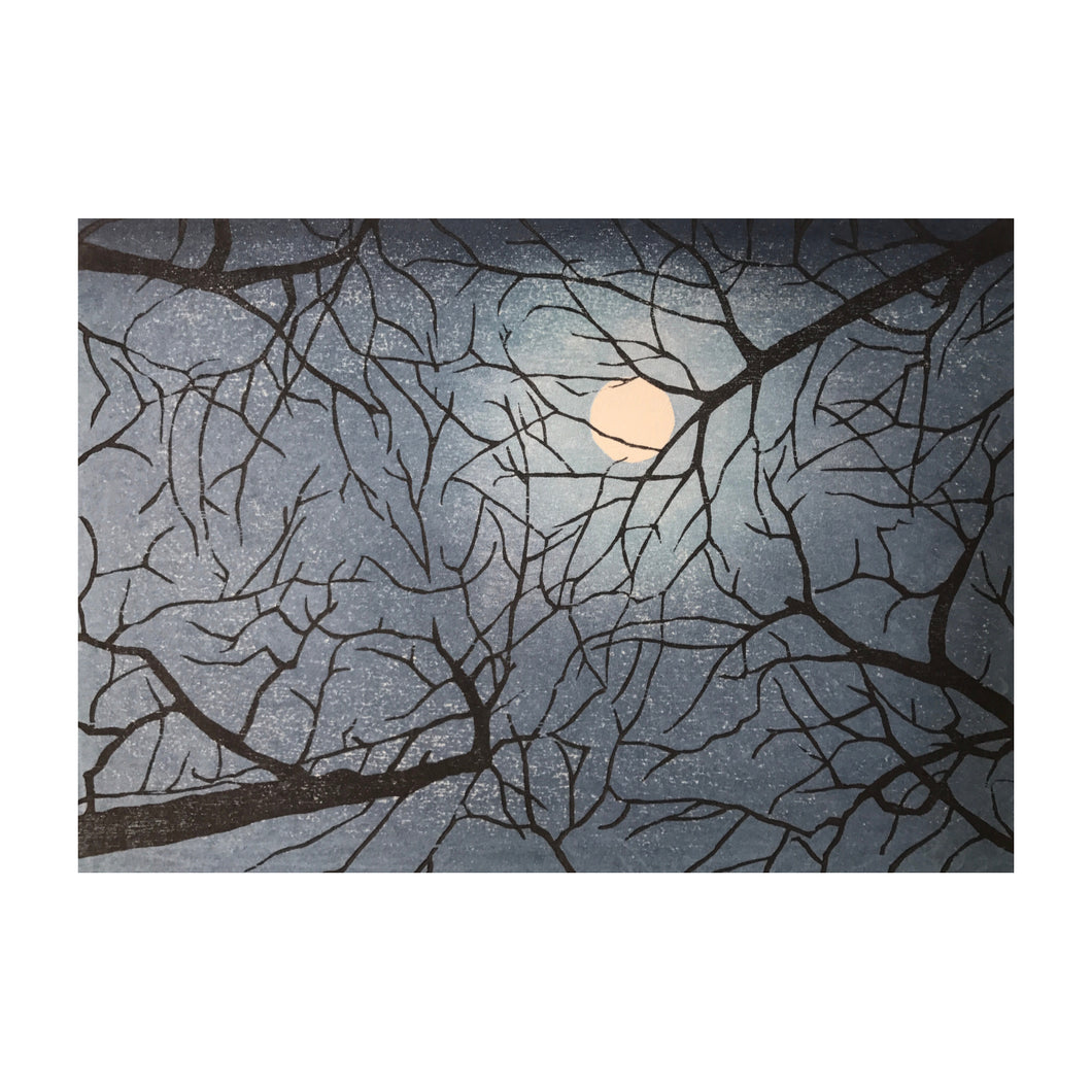 COZZOLINO MARA, Onsen, 2017 