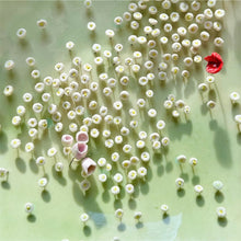 Carica l'immagine nel visualizzatore di Gallery, PIATTINO CRISTINA, Prato fiorito, 2025
