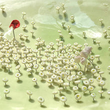 Carica l'immagine nel visualizzatore di Gallery, PIATTINO CRISTINA, Prato fiorito, 2025
