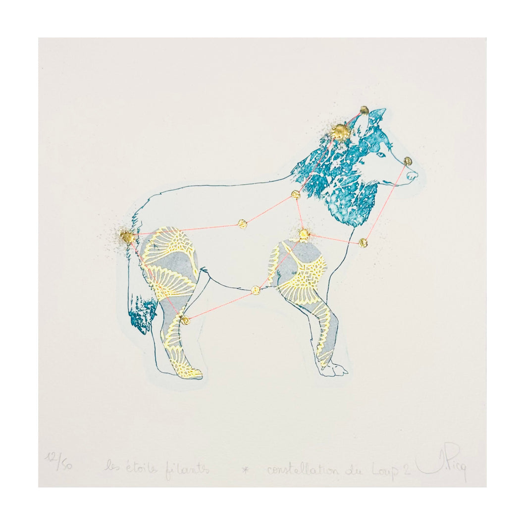 PICQ JEANNE, Les étoiles filants - Constellation du Loup n. 1, 2023