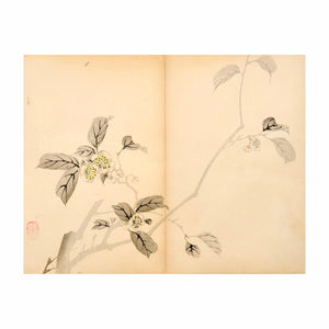 MOCHIZUKI GYOKUSEN, Shuga-cho n.1, 1891-1900