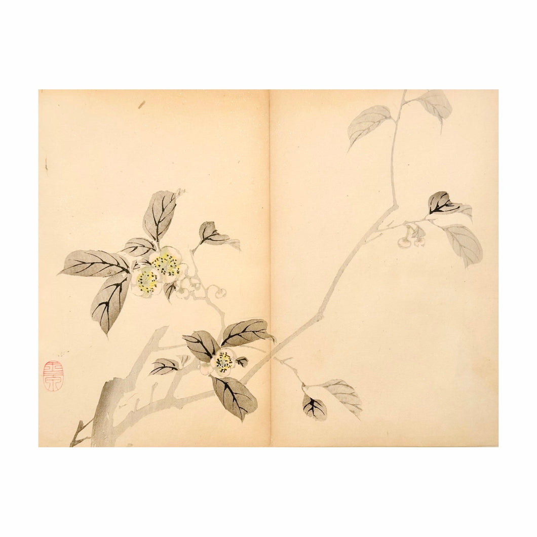 MOCHIZUKI GYOKUSEN, Shuga-cho n.1, 1891-1900