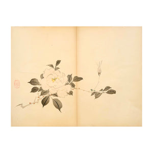 MOCHIZUKI GYOKUSEN, Shuga-cho n.2, 1891-1900