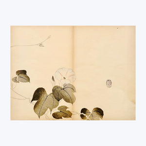 MOCHIZUKI GYOKUSEN, Shuga-cho n.5, 1891-1900