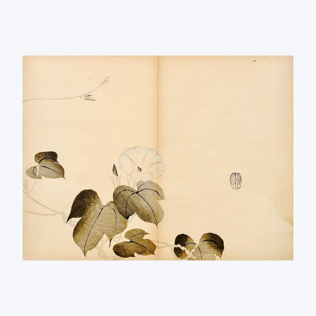 MOCHIZUKI GYOKUSEN, Shuga-cho n.5, 1891-1900