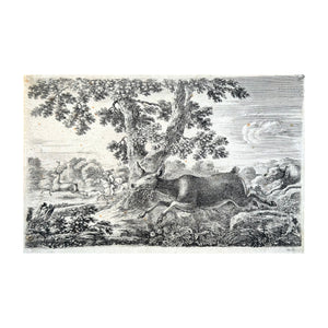 DELLA BELLA STEFANO, Daino che corre a sinistra, 1654