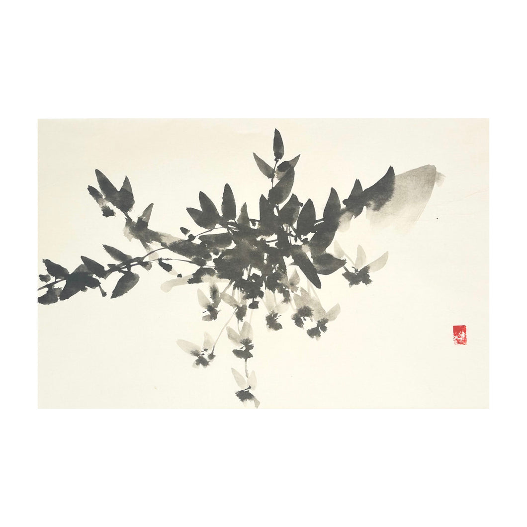 ROBERTO NECCO, Sumi-e, Incontrare le viole, 2025
