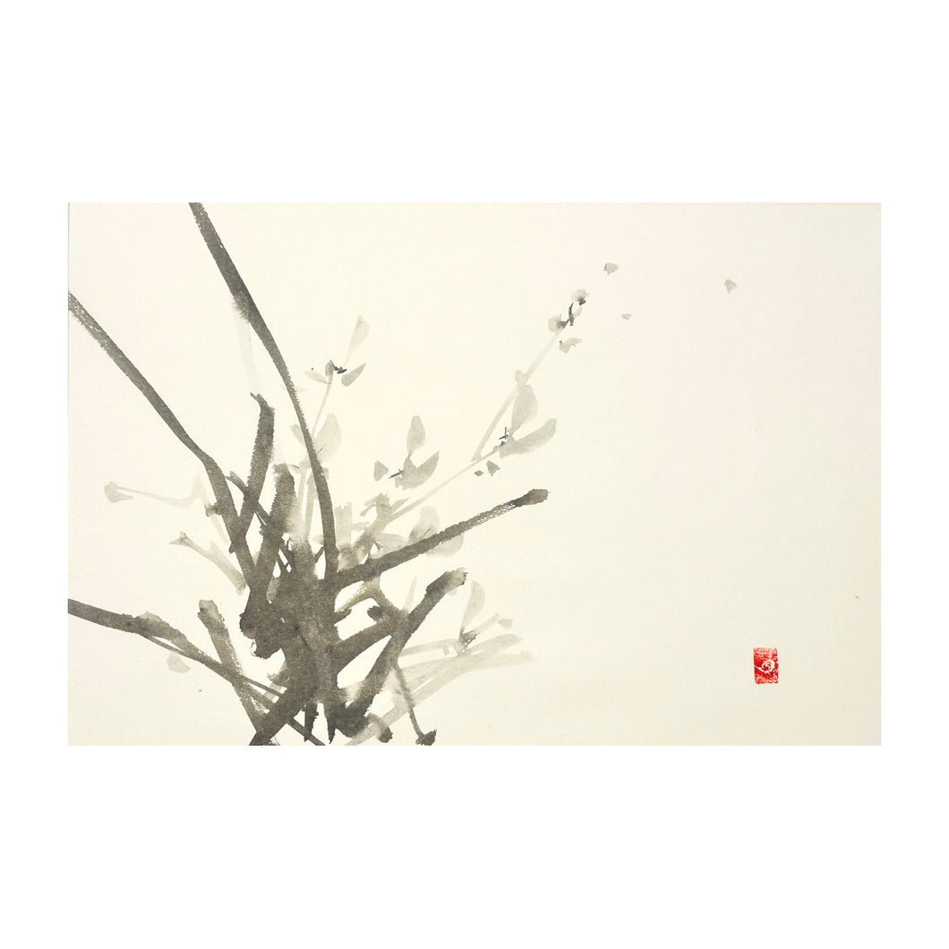ROBERTO NECCO, Sumi-e, Orchidea lontana, 2024