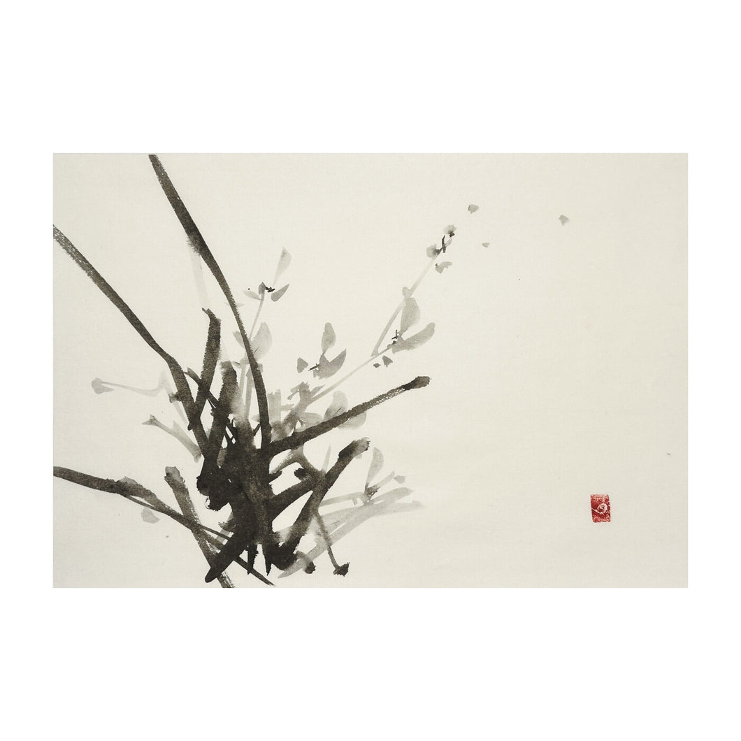 Elyron_Unthink (Roberto Necco), Orchidea spontanea, 2025