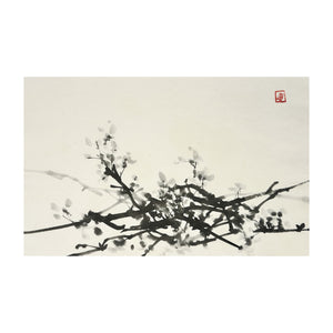 Elyron_Unthink (Roberto Necco), Come sempre, 2025