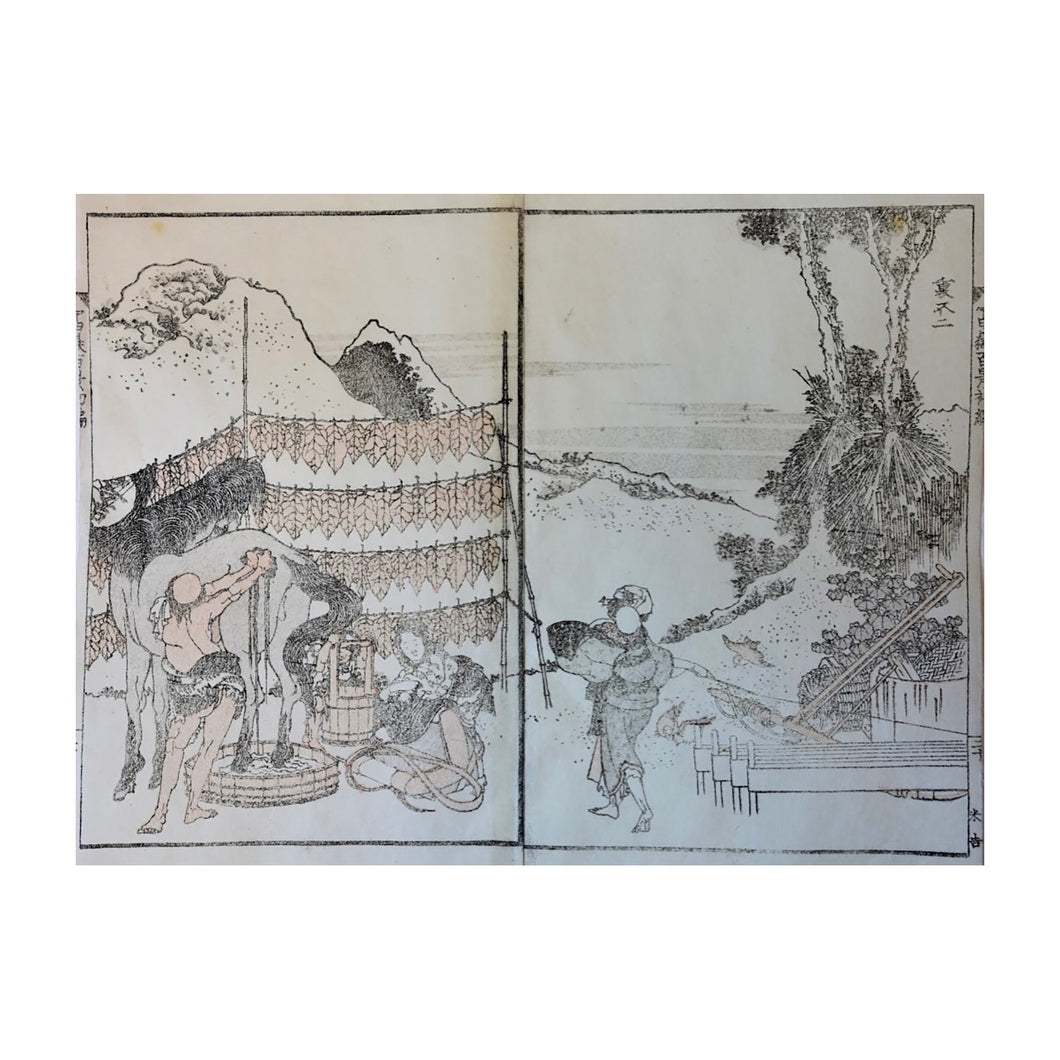 HOKUSAI KATSUSHIKA, THE FUJI FROM THE OTHER SIDE n. 26