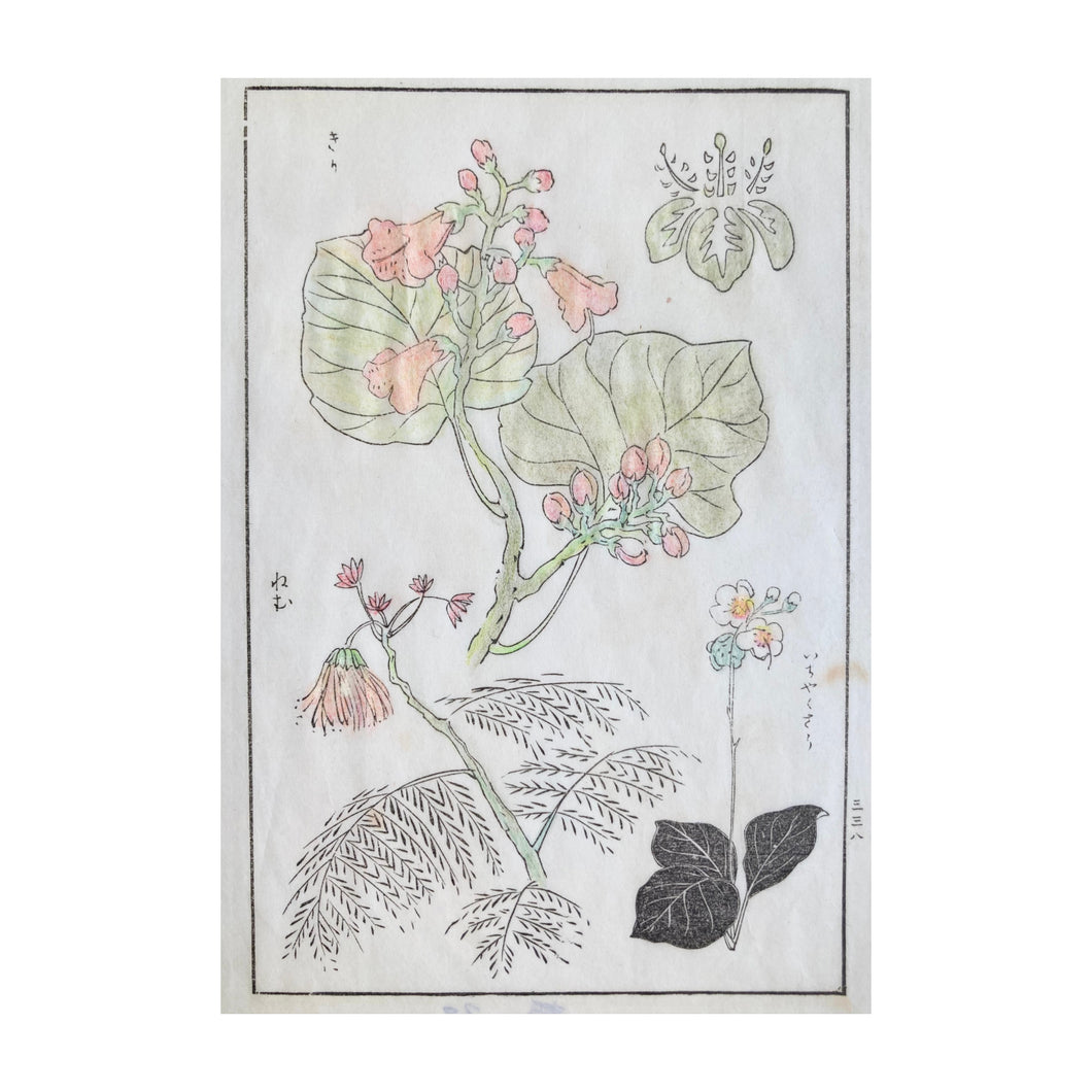 BAIREI KŌNO,  Shiki no hana, Flowers of the four seasons n.39, 1890