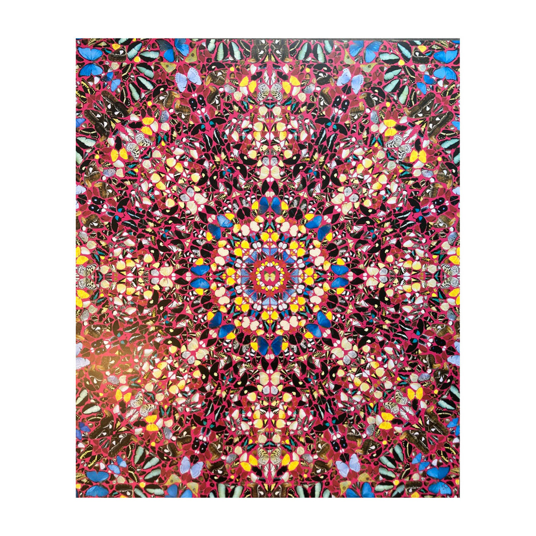 HIRST DAMIEN, In a gadda da vida * Butterfly, 2004