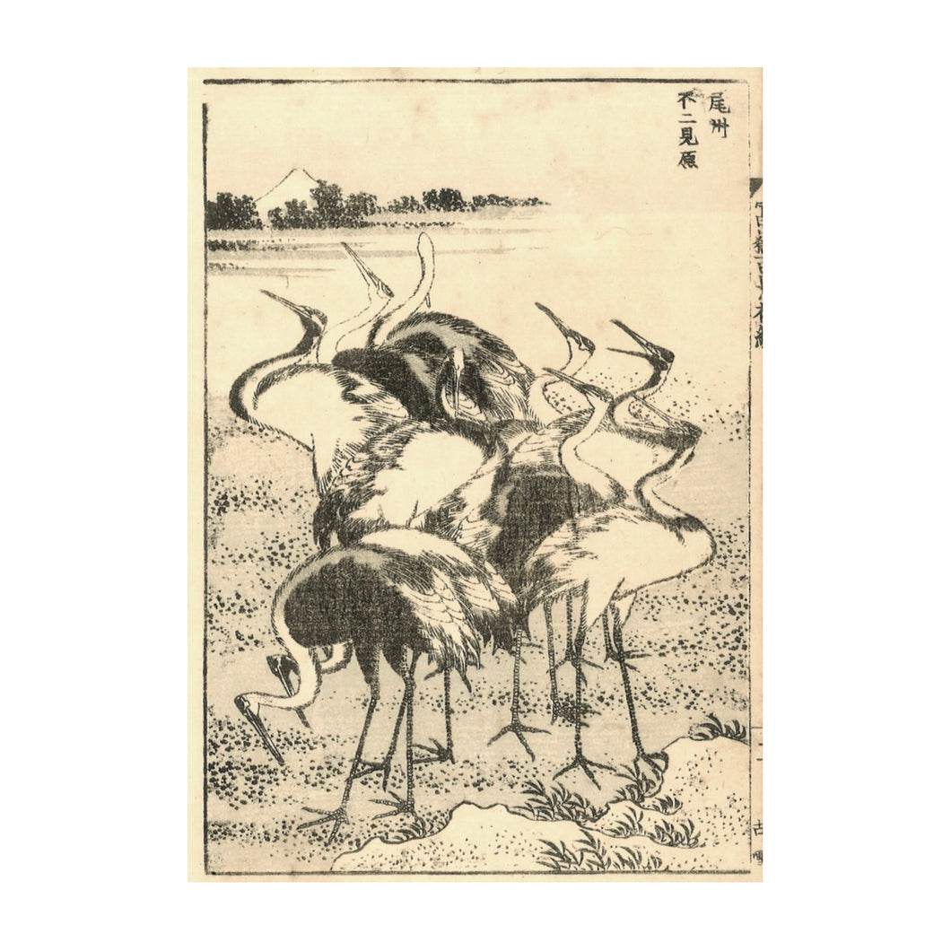 HOKUSAI KATSUSHIKA, Fujimigahara, nella provincia di Owari detta Le gru, Bishu fujimigahara , n.14
