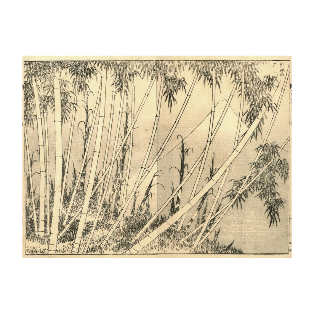 HOKUSAI KATSUSHIKA, The Fuji from a clump of bamboo called The reeds, Takebayashi no fuji , n.34